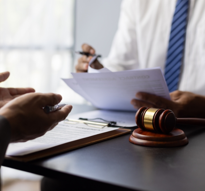 Fraud And Dishonest Offences