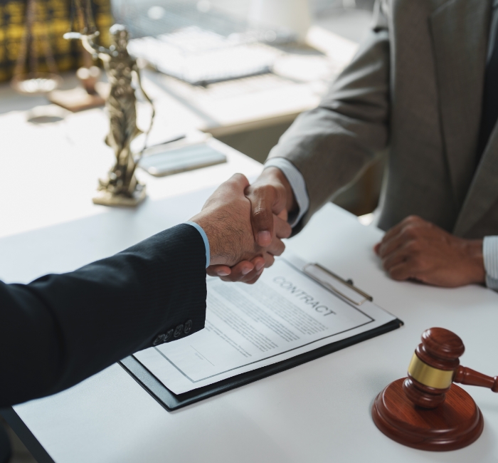 Fraud And Dishonest Offences