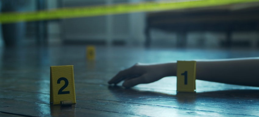 Murder And Manslaughter